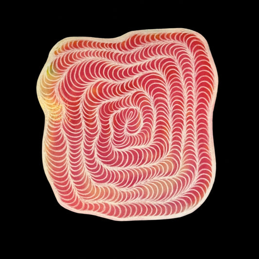 Round and Round Hand-Drawn Sticker