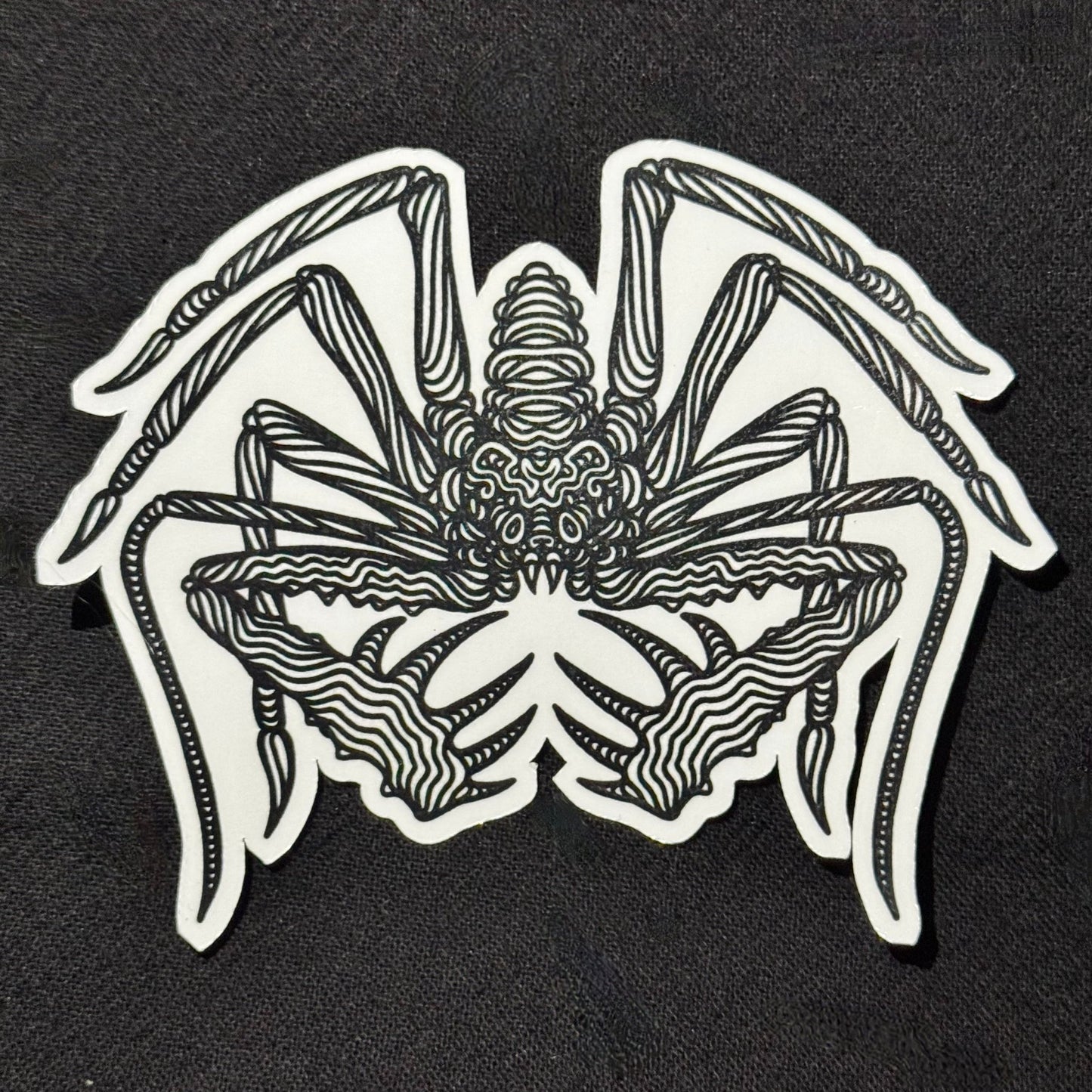 Whip Spider Sticker