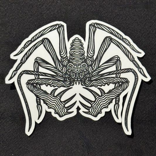 Whip Spider Sticker